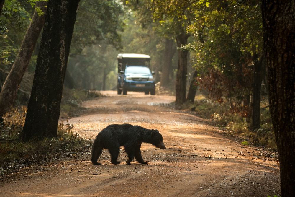 Wasgamuwa National Park